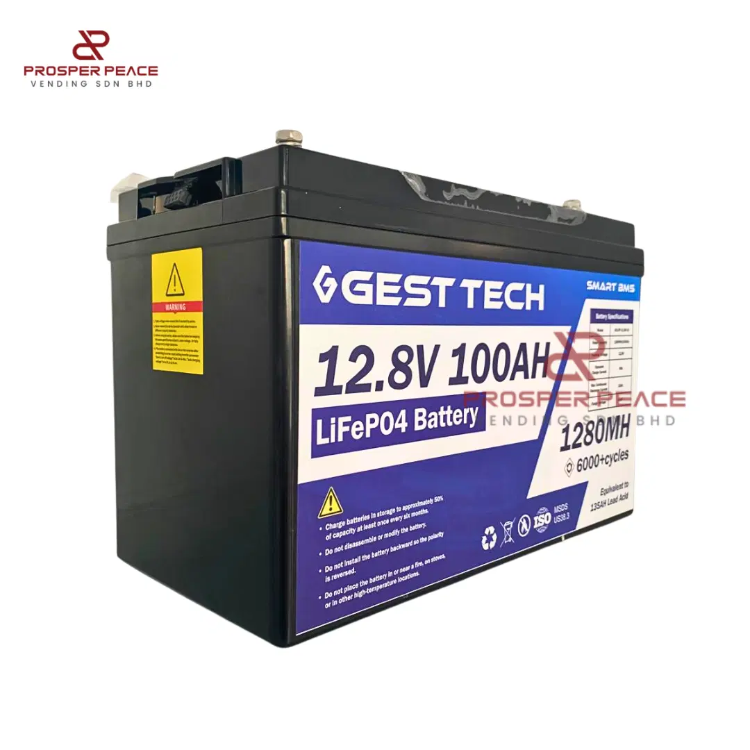 LiFeP04 Battery 12.8V 100Ah (1280Wh) — image 1